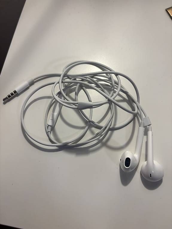 Cuffie: Apple EarPods neu – Usato da Basel venduto da meh_88mq