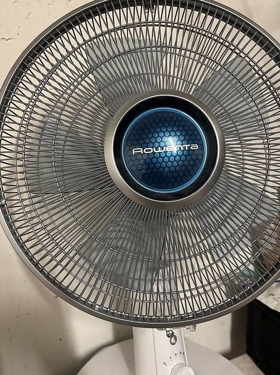 Ventilateurs: Rowenta Ventilator  – D'occasion à Oberdiessbach par shan26 1