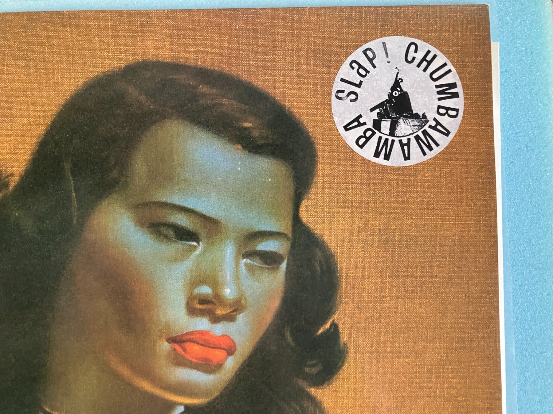 Dischi in vinile: Chumbawamba – Usato da Aarwangen venduto da Jukebox3 1