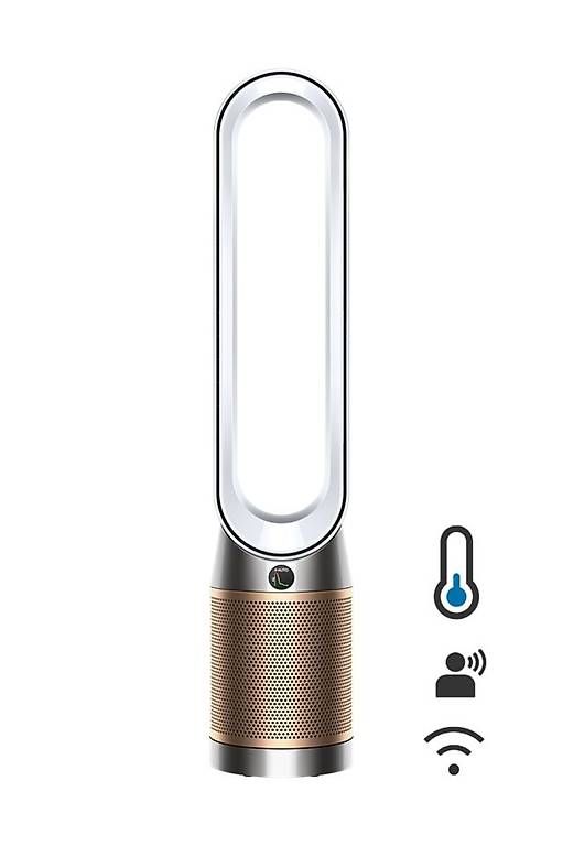 Luftreiniger: Dyson Purifier Cool – Gebraucht aus Basel von ann_cq59