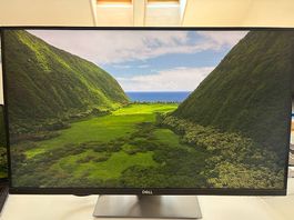 Dell P2720DC Monitor inkl. USB-C- und HDMI-Kabel