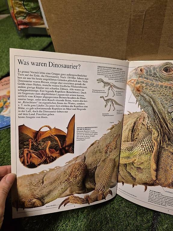 Bücher: Dinosaurierbuch – Gebraucht aus Zürich von RaffaelaT 1