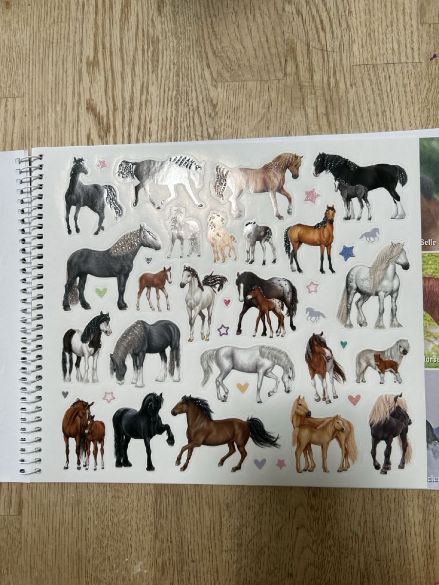 Libri: Stickerheft / Malheft Pferd – Nuovo (secondo la descrizione) da Lostorf venduto da Venice16 3