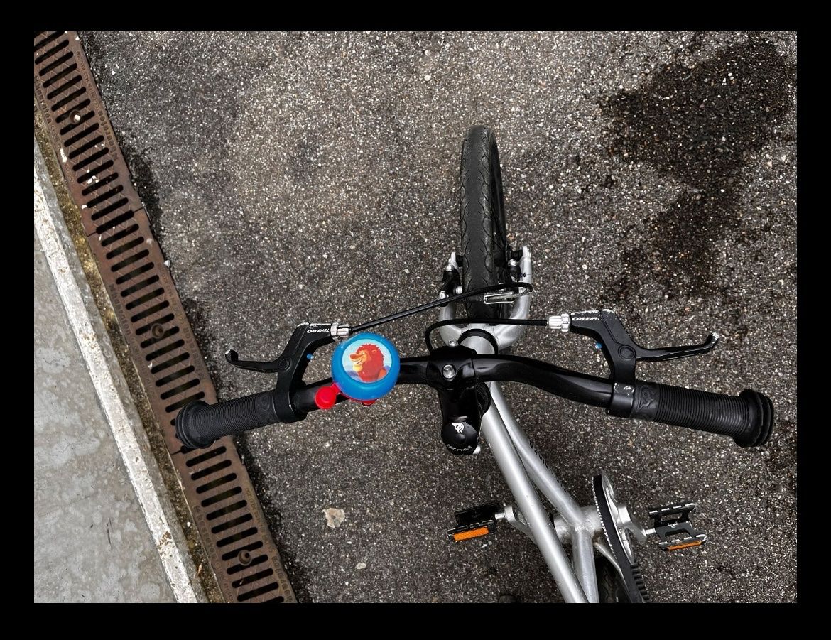 Early Rider Vélos: Early Rider Belter Urban 16" – D'occasion à St. Gallen par Kiwi023 4