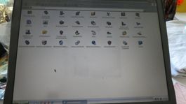 Display für Dell Latitude C640