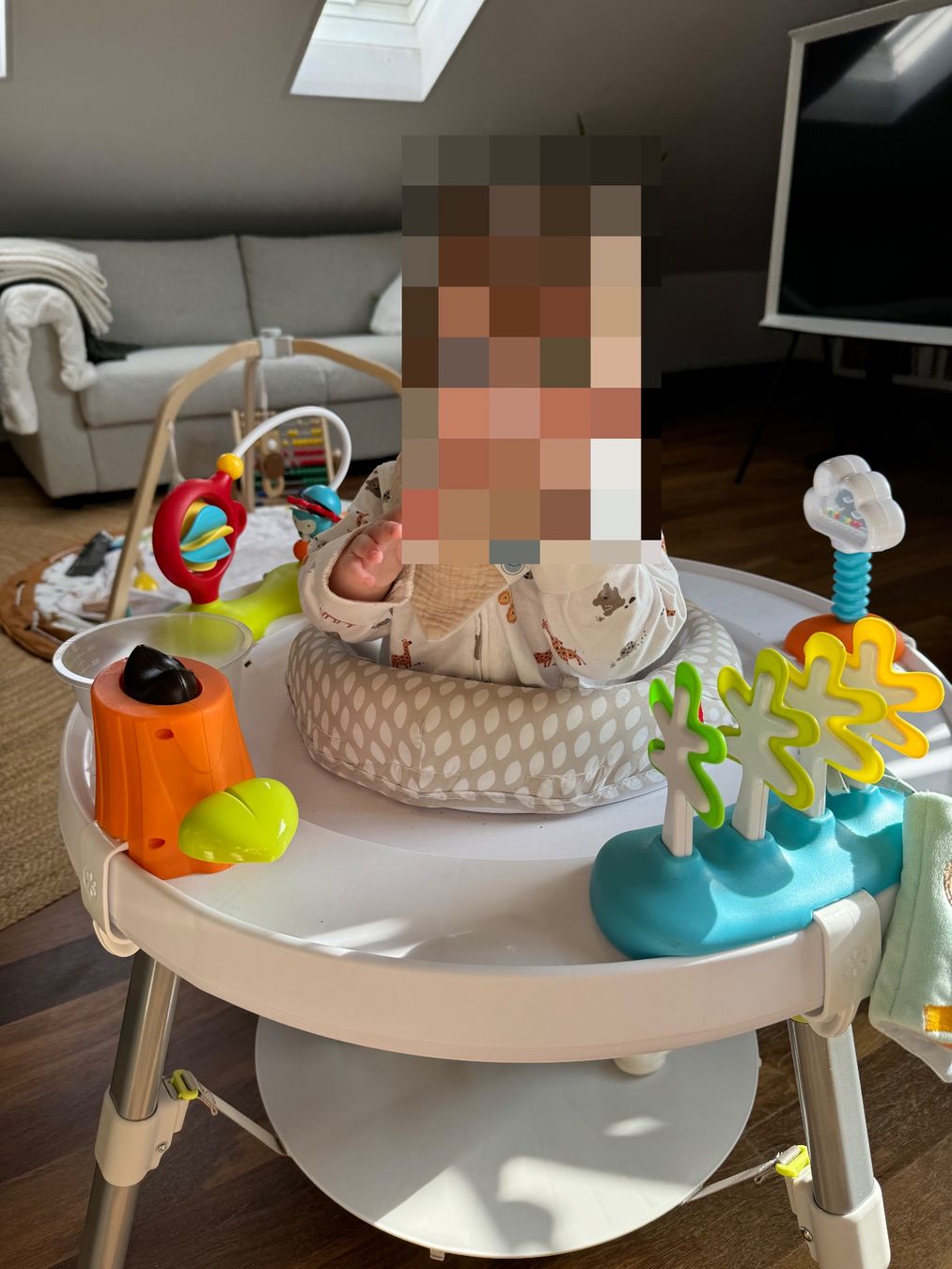 Wippen & Schaukeln: Skip Hop Baby Spielsessel – Gebraucht aus Zürich von Nicgie_29