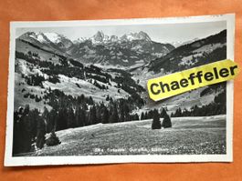 Originale, alte Ansichtskarte "Turbachtal Gstaad" Top Zustan