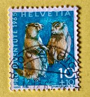 Nr.J 211 GESTEMPELT Alpenmurmeltier 1965 Zürich