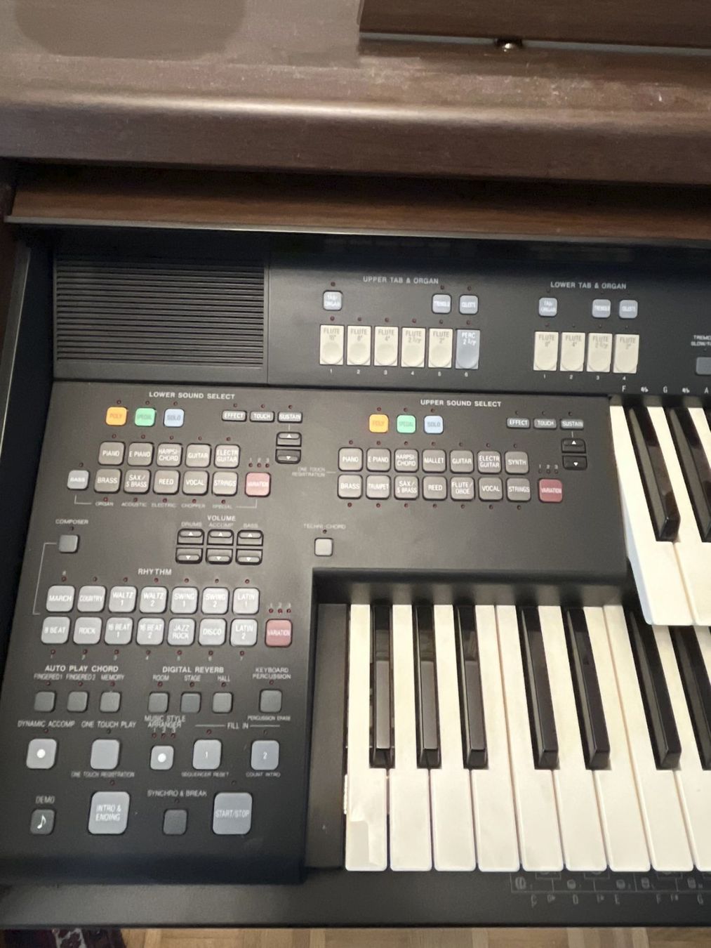 Technics Strumenti musicali: Technics Orgel EN4 mit Diskettenlaufwerk - Schnäppchen! – Usato da Roggliswil venduto da wipix 3
