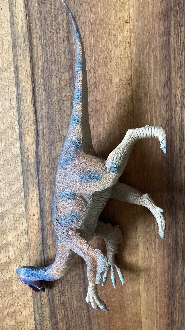 Schleich Spielzeuge: Deinocheirus Dinosaurier Modell / CollectA / 30cm Länge – Neu (gemäss Beschreibung) aus Kreuzlingen von tummetott71 4