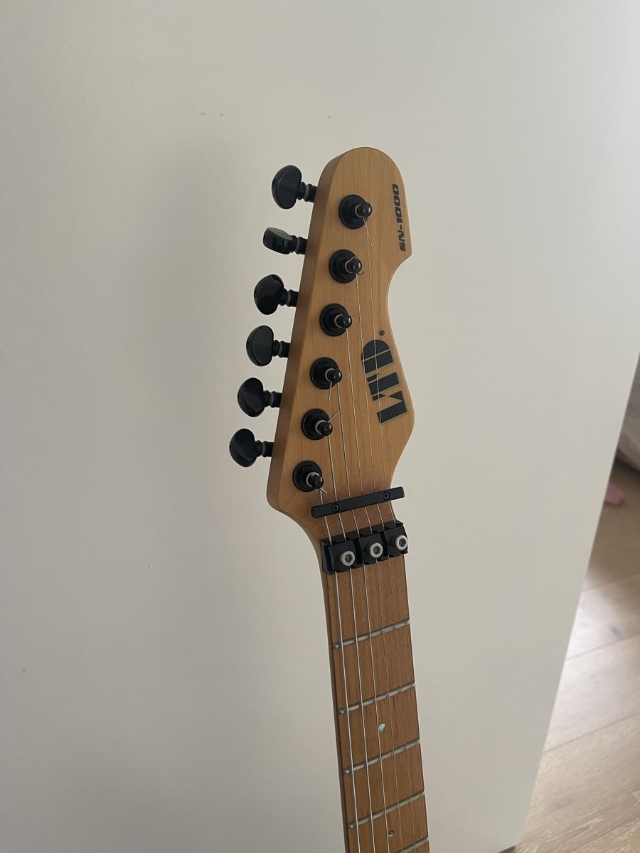 Esp Musikinstrumente: ESP LTD SN-1000 Floyd Rose mit D-tuna – Gebraucht aus Zürich von raric 3