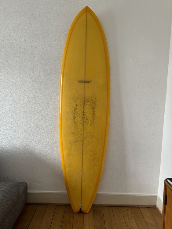 Modern blackfish store surfboard