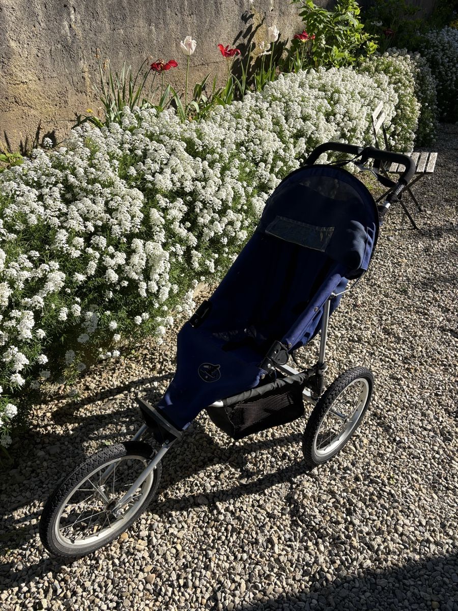 Carrozzine: Poussette off-road troly – Usato da Neuchâtel venduto da car_qk5y 1