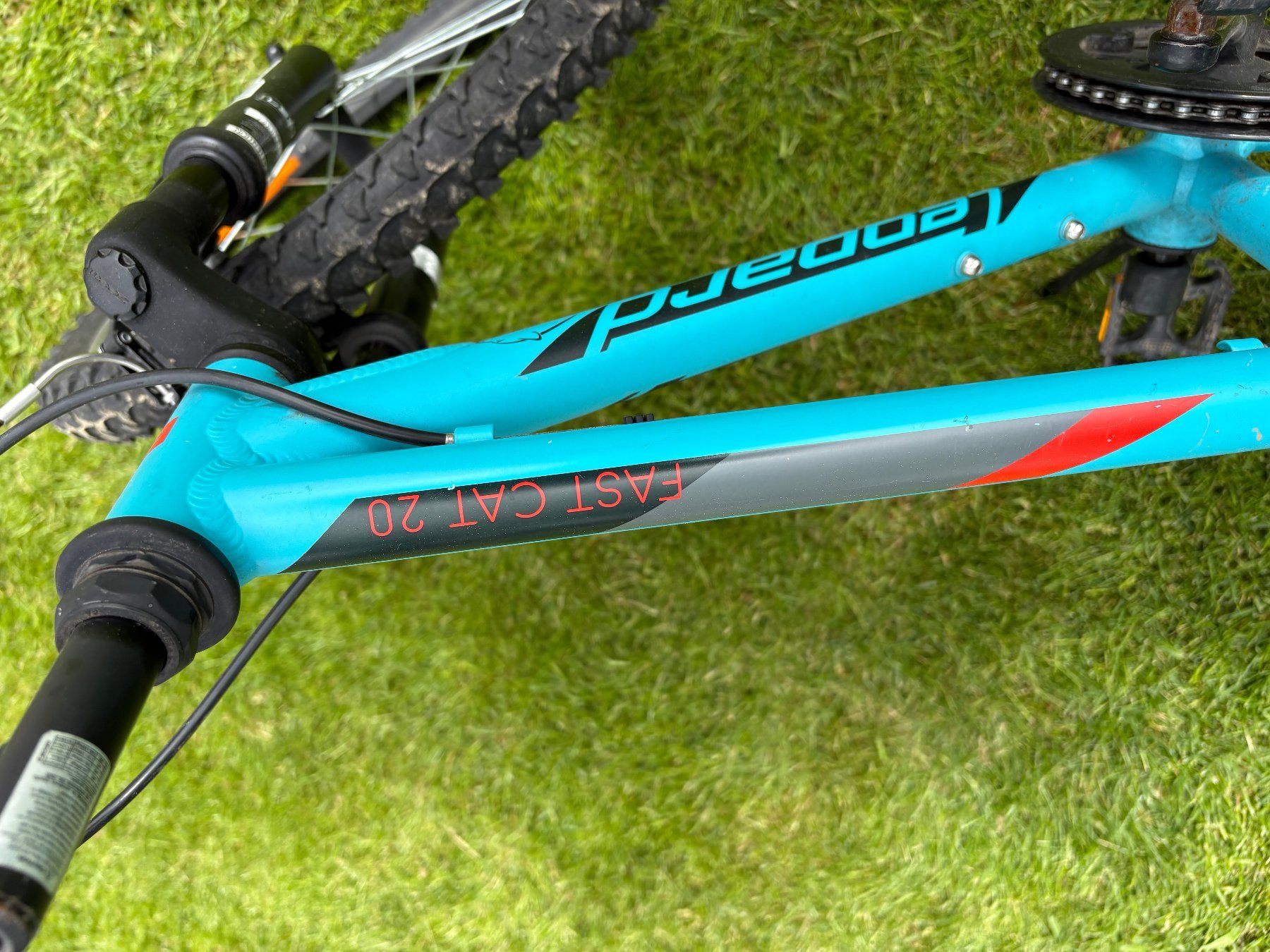 Leopard Biciclette: Vélo d'enfant 20 pouces – Usato da Riaz venduto da fredoscar79 4