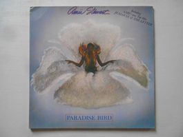 AMII STEWART  -  PARADISE BIRD