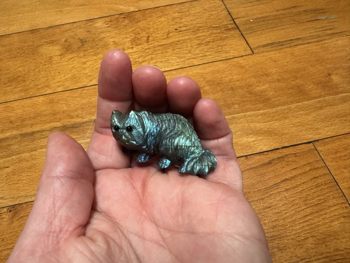 Pietre preziose: Labradorit Katze – Usato da Birsfelden venduto da Blauer_Kaktus 1