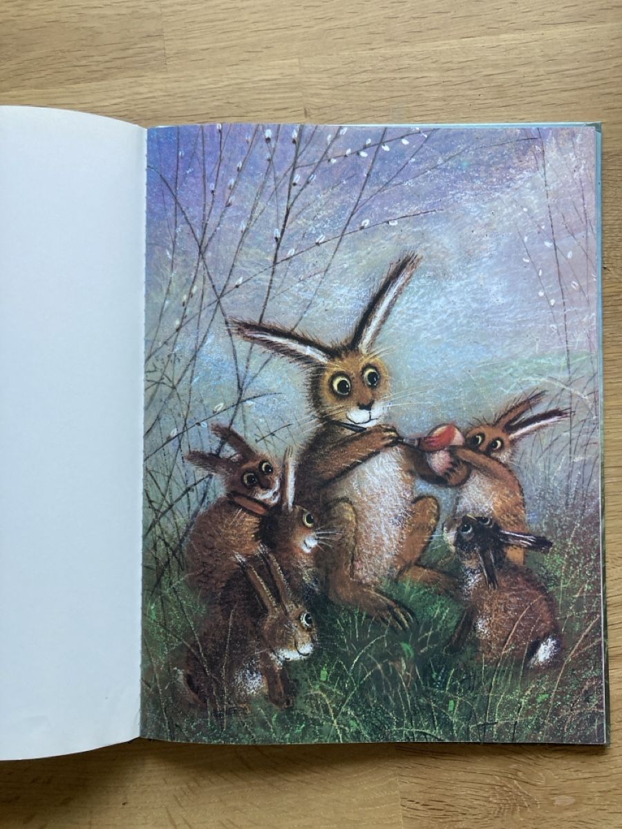 Bücher: Hase hopp hopp hopp – Gebraucht aus Schüpfheim von Seerose80 2