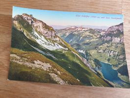Postkarte Schäfler mit dem Seealpseeli