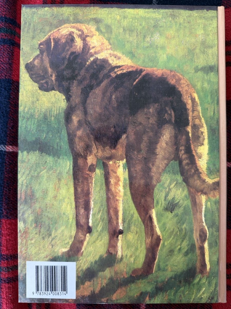 Libri: Cane Corso & Molosser Hunde Bücher Sammlung – Usato da Zürich venduto da d.reitzer 8