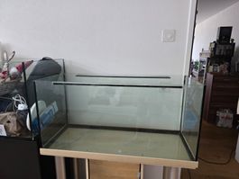 Terrarium zu vekaufen/vergeben