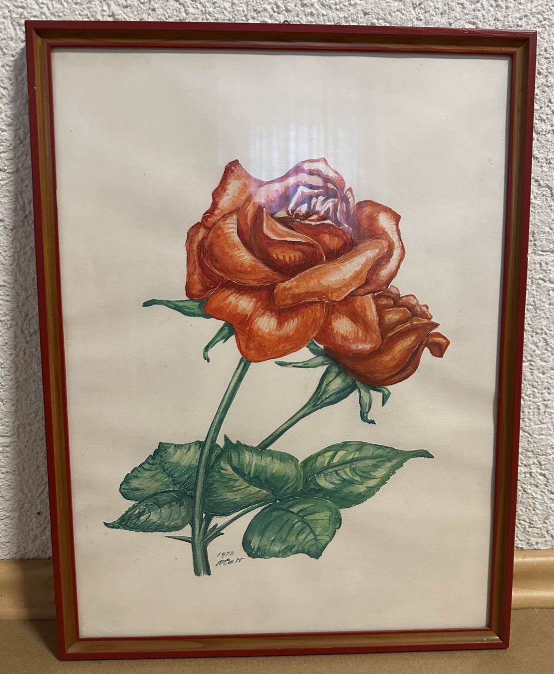 Foto & Immagini: Zeichnung Rosen-Bild Handgemalt – Usato da Leibstadt venduto da hjk_2025