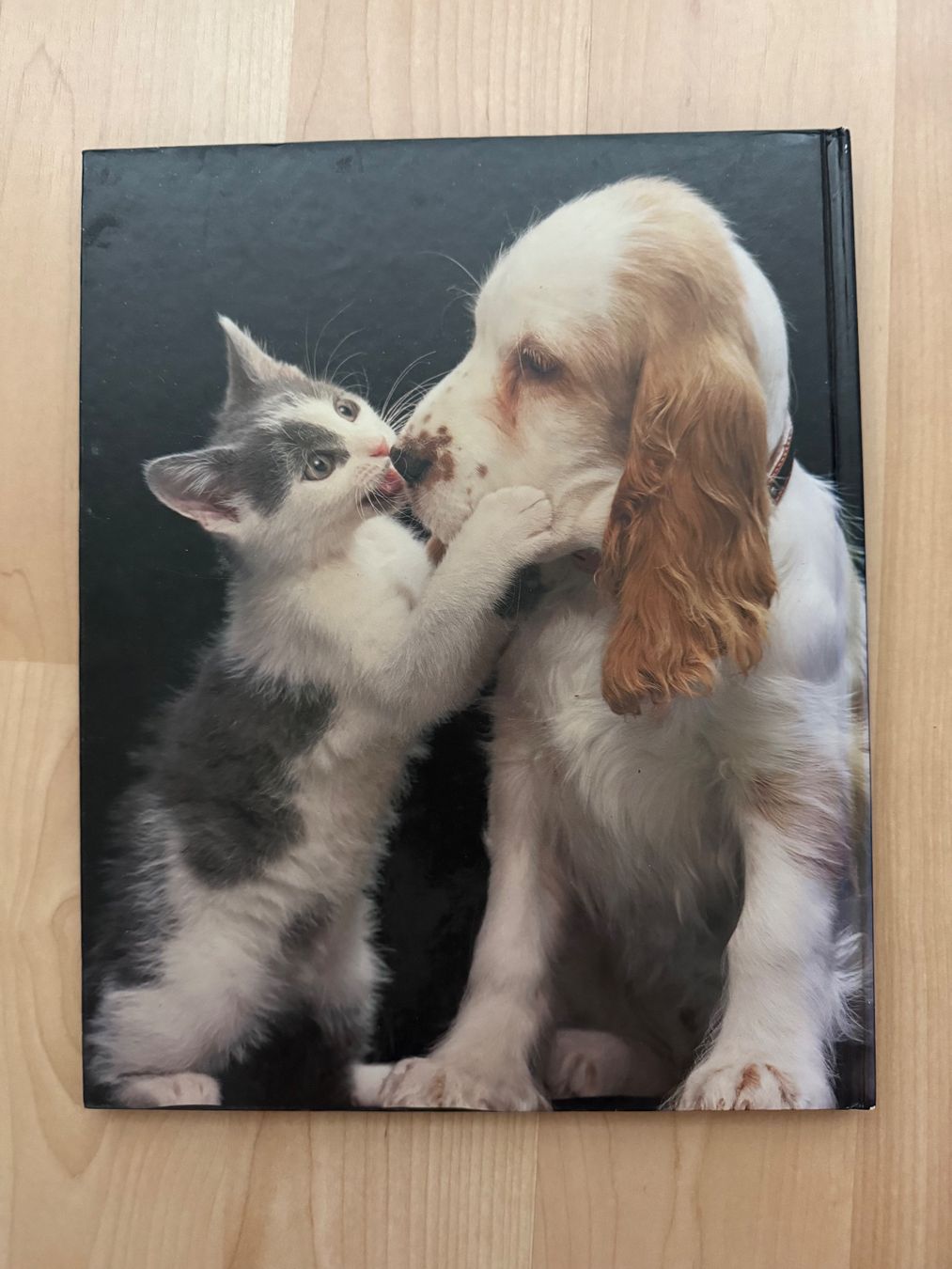 Libri: Die schönsten Tierkinder Buch guter Zustand – Usato da Pfäffikon SZ venduto da Syndrome379 2