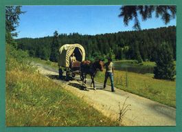 Franches-Montagnes pittoresques, 1986, gelaufen, Grossformat