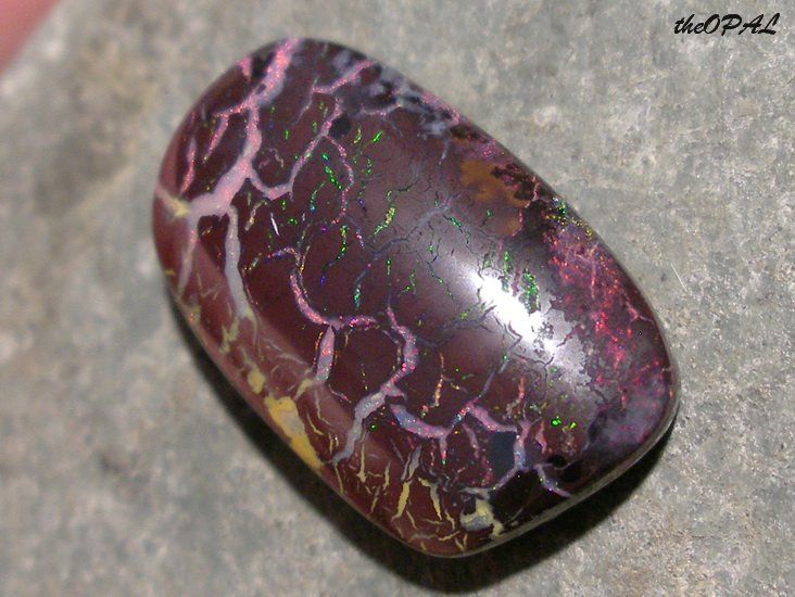 Pietre preziose: theOPAL *** TOLLER MATRIX BOULDER OPAL 19,63ct *** – Nuovo e nell'imballaggio originale da Ebnat-Kappel venduto da theOPAL 3
