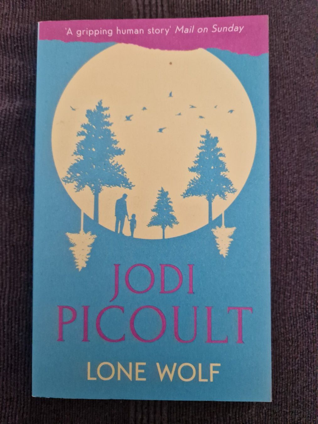 Jodi Picoult - Lone Wolf Gripping Novel (Gebraucht) in Neuhausen am