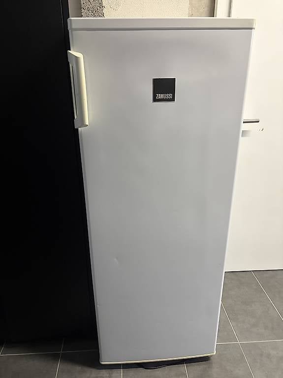 Zanussi Congelatori: Congelateur Zanussi – Usato da St-Maurice venduto da sha_c9r5 1