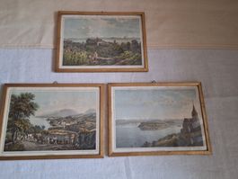 G. Lory Fils, Bilder, Neuenburg, Neuchâtel, Petersinsel