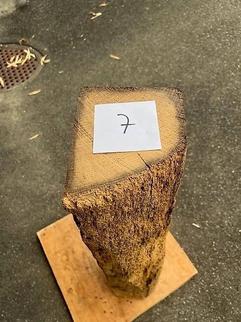 Articoli in legno: Eiche Altholzbalken (7) – Usato da St. Erhard venduto da Nox0 3