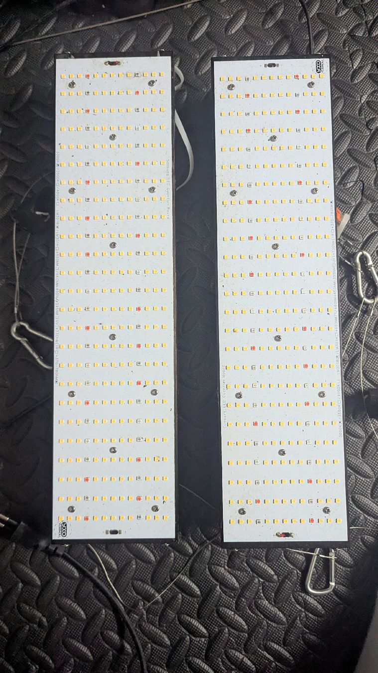 Lampade: Growlight Led 2*200W – Usato da Arbon venduto da nolodon 2