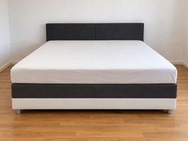 Doppelbett/Boxspringbett 160x200cm Stoff Dunkelgrau / Weiss