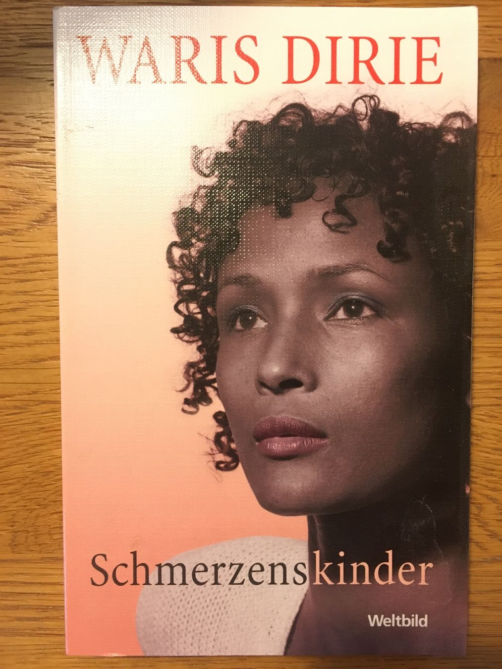 Altro in  Abbigliamento & Accessori: Waris Dirie - Schmerzensskinder - Taschenbuch – Usato da Zürich venduto da mignonmignon