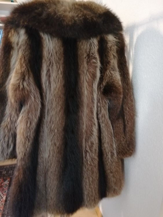 Giacche: Elegante Pelzjacke, Waschbär – Nuovo (secondo la descrizione) da Biasca venduto da elida_stefano 1