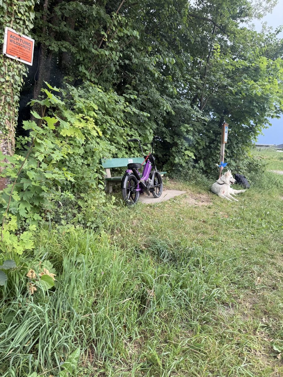 Tomos Cyclomoteurs: Tomos – D'occasion à Dozwil par dav_jn65 5