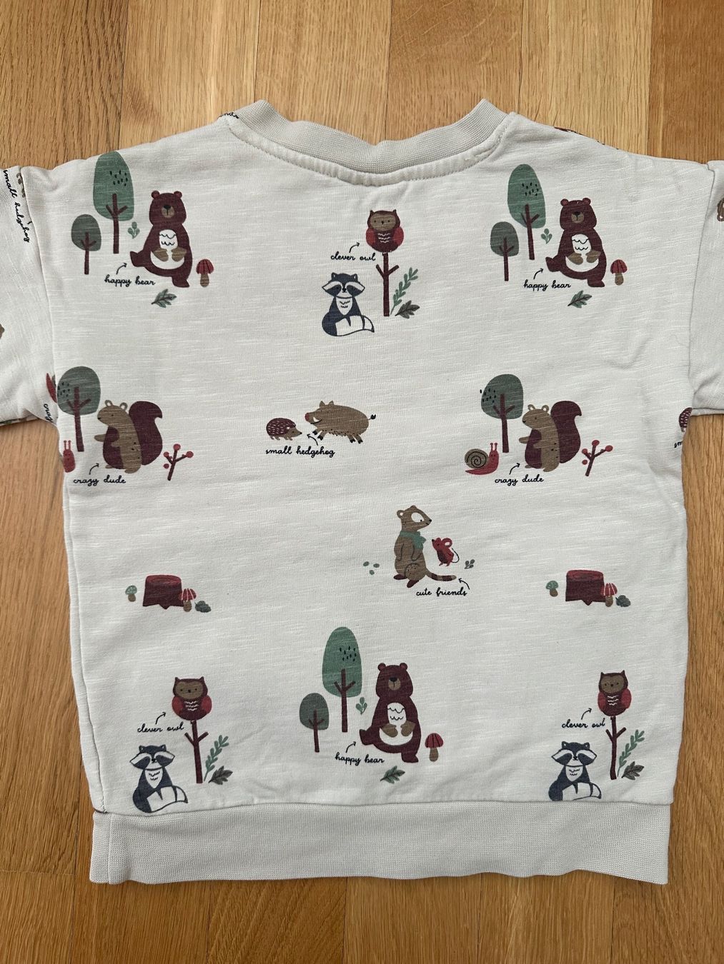 Maglioni & Felpe: Süsser Pullover mit Waldtier-Motiv, Grösse 92 – Nuovo (secondo la descrizione) da Unterägeri venduto da StefanGekko 6