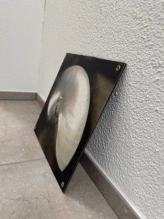 Foto & Immagini: Dekoratives Wandbild Nautilus-Muschel – Usato da Schübelbach venduto da Rahnmont 3