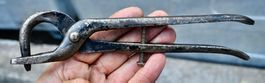 alte Plomben-Entfernungszange? Spezial-Dornzange geschmiedet