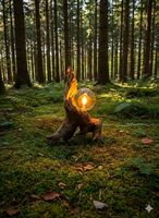 Wunderschöne Lampe aus Schwemmholz
