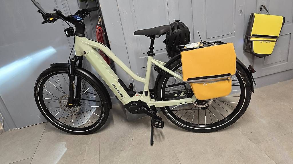 Vélos: E-Bike Neuwertig 45kmh Flyer  – D'occasion à Bronschhofen par Timi.g 6