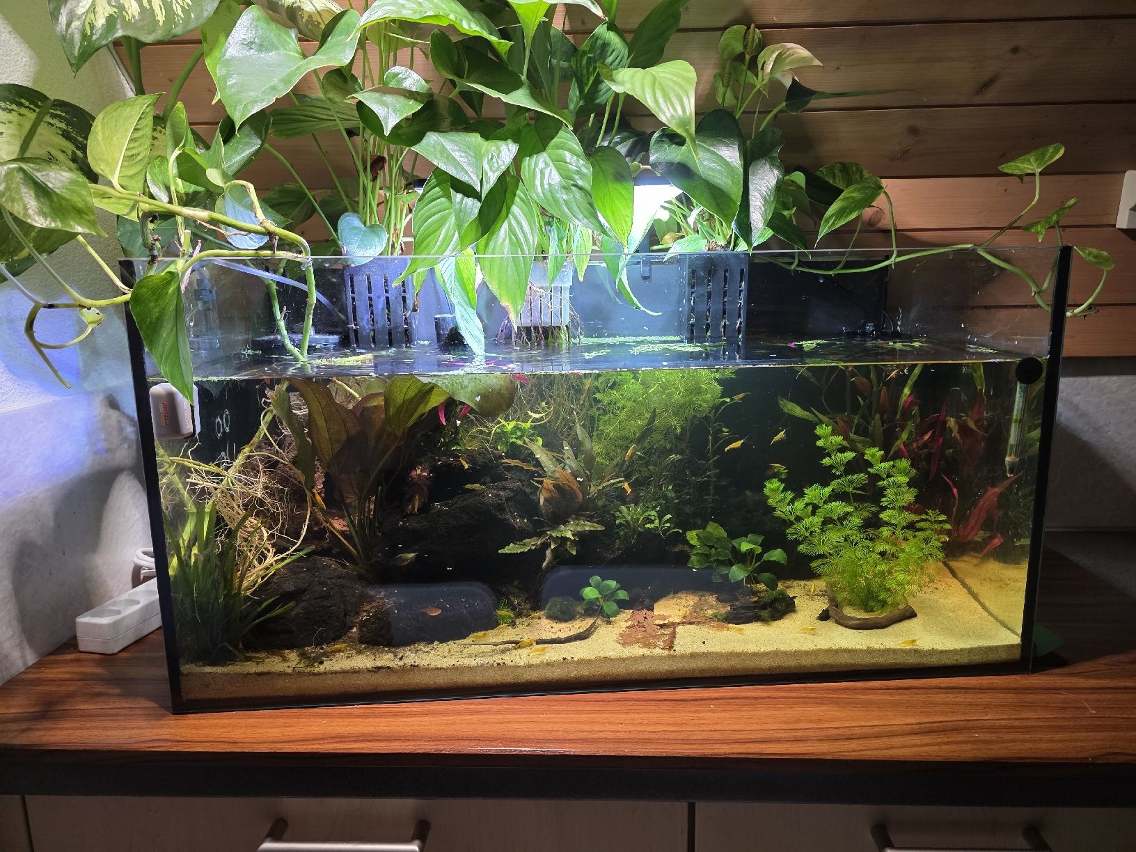 Aquarium: Ökosystem Aquarium 112L  – Neu (gemäss Beschreibung) aus Jens von tra_da87 1