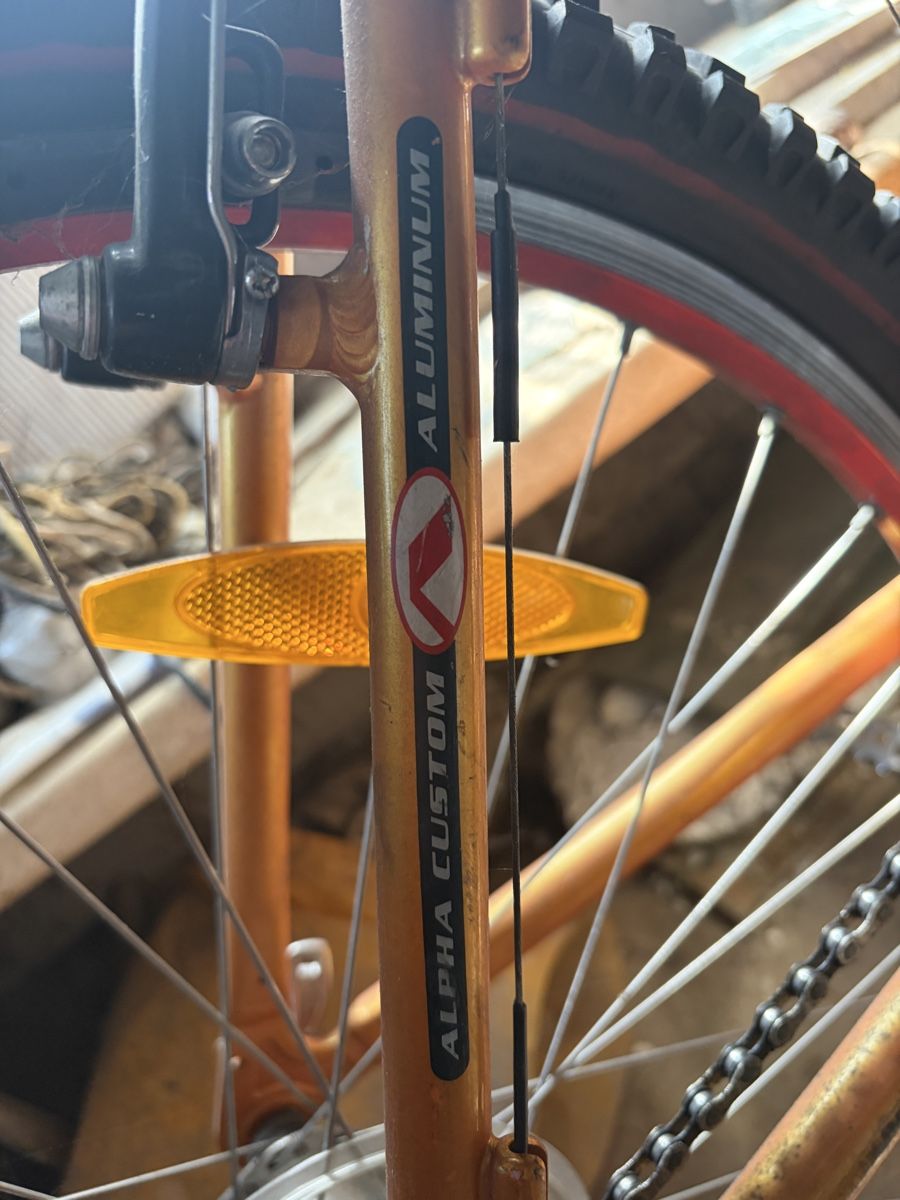 Trek Biciclette: Trek 6000 Mountain Bike Used Orange – Usato da zürich venduto da Fefefefefefe 4