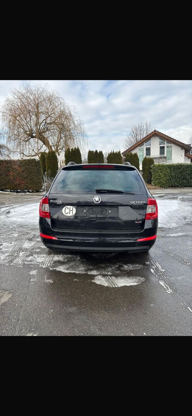 Skoda Autos: Scoda Octavia  – Gebraucht aus Tübach von bau_tr27 4