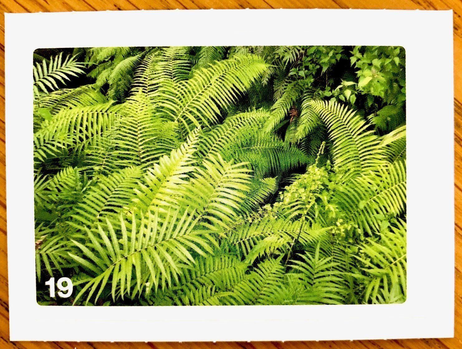 Migros Sammelbilder & Trading cards: Migros Nature Detectives - Bild Nr. 19 – Neu (gemäss Beschreibung) aus Oberrieden von Zimmerberg10