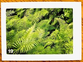 Migros Nature Detectives - Bild Nr. 19