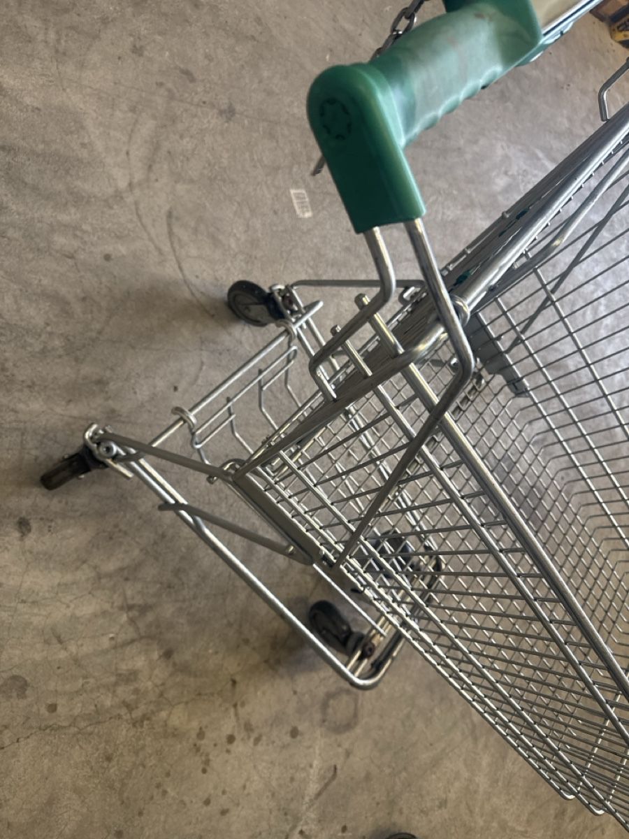 Valigie & Borse: Einkaufswagen – Usato da Horriwil venduto da Carrera68 3