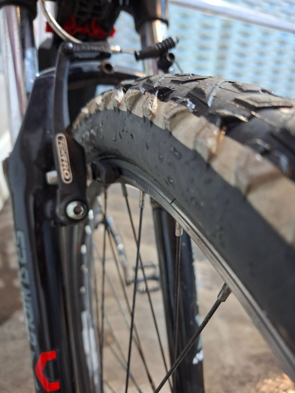 Leopard Biciclette: Leopard rock cat Velo – Usato da Kehrsatz venduto da bassooon 5