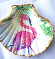 Muschel Schmuckschale Dekomuschel Schale Muschelschale